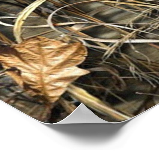 行った魚釣り ポスター (角)