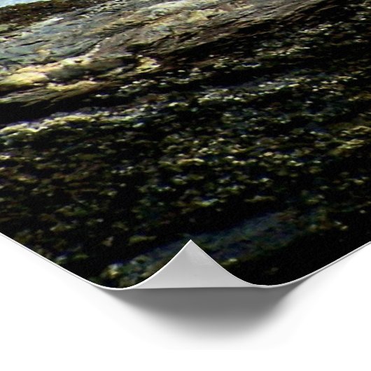 行った魚釣り ポスター (角)