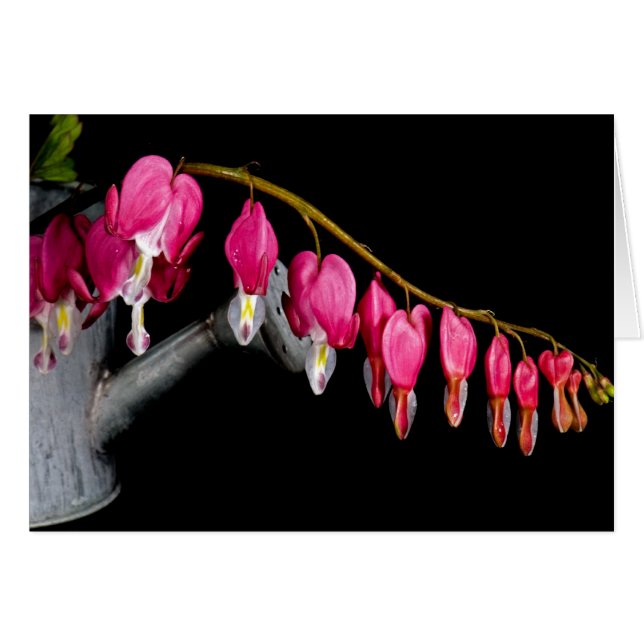 行のハート (正面横)