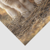 行の切り離し内の愛らしい素朴子板 薄葉紙 (詳細)