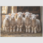 行の切り離し内の愛らしい素朴子板 薄葉紙 (正面)