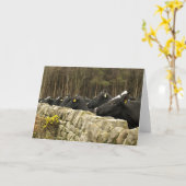 行グリーティングカード内のすべて カード (黄色い花)