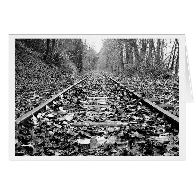 行先の未知数 (正面横)