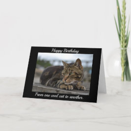 行動を起こす準備ができたトラネコ カード