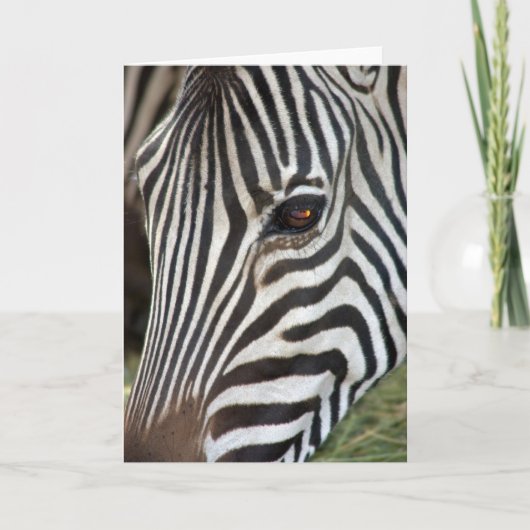 行商人のシマウマカード カード (正面)