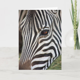 行商人のシマウマカード カード