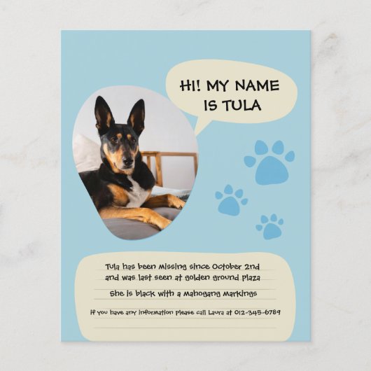 行方不明の犬 モダン ブルー 写真 ポスター チラシ (正面)