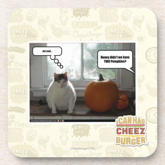 行為のカッコいい コースター (正面)