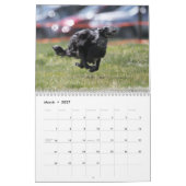 行為のカレンダーの2012絹のWindhounds カレンダー (3月 2027)