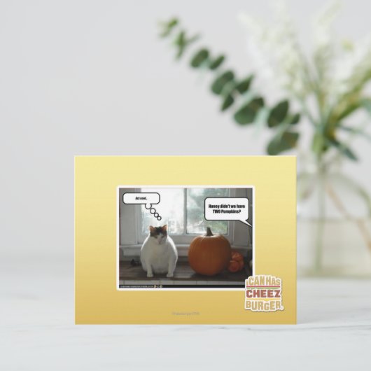 行為クール ポストカード (スタンド正面)