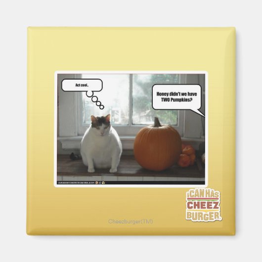 行為クール マグネット (正面)