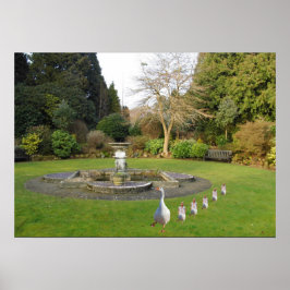 行進する鵞鳥と絞首刑 ポスター