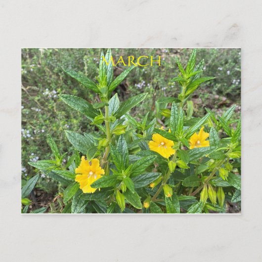 行進 ポストカード (正面)