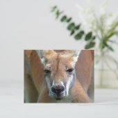 行遠くにく ポストカード (スタンド正面)