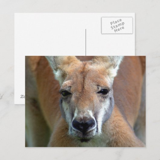 行遠くにく ポストカード (正面/裏面)