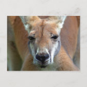 行遠くにく ポストカード (正面)