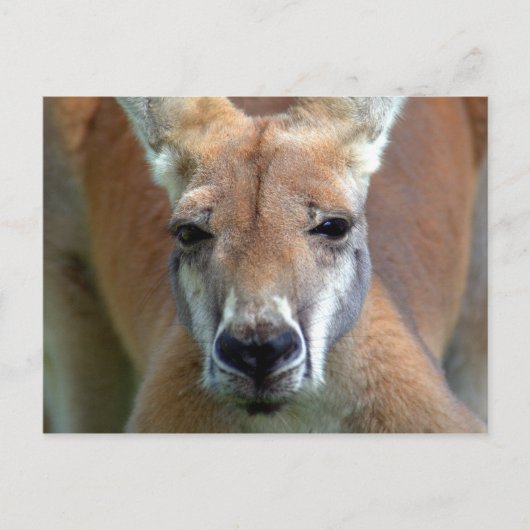 行遠くにく ポストカード (正面)