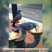 街の飲水場の鳩 アクリルサイン (ニュートラル)
