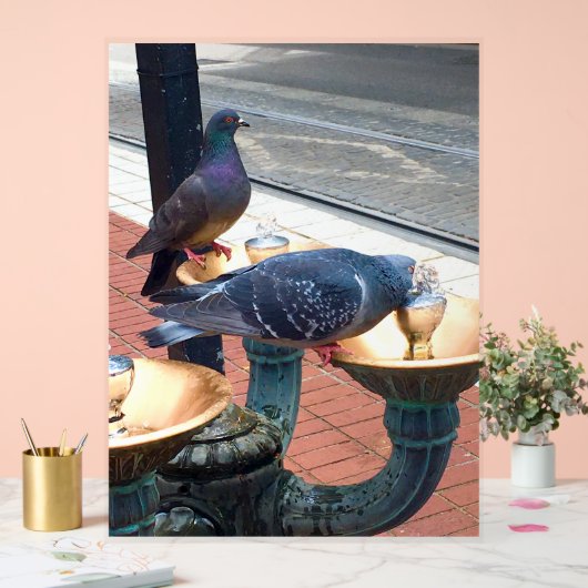 街の飲水場の鳩 アクリルサイン (ウェディング)