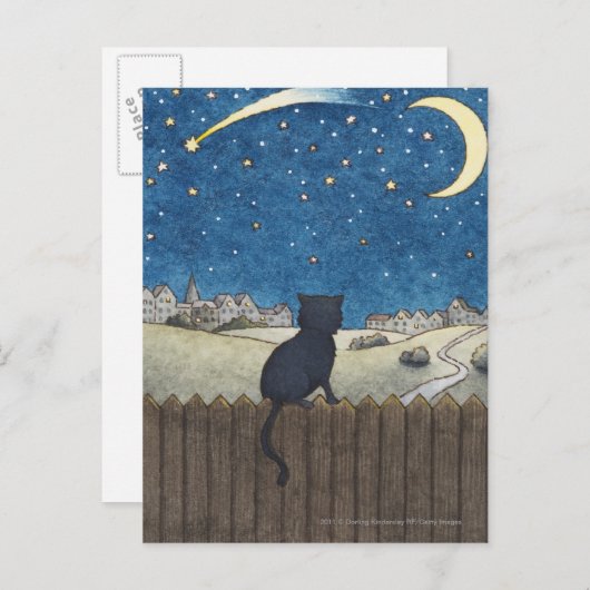 街上の夜空を眺めるフェンスの上の猫 ポストカード (正面/裏面)
