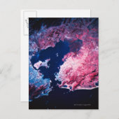 衛星からの地球 ポストカード (正面/裏面)