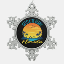 衛星ビーチフロリダパームツリーズビーチ