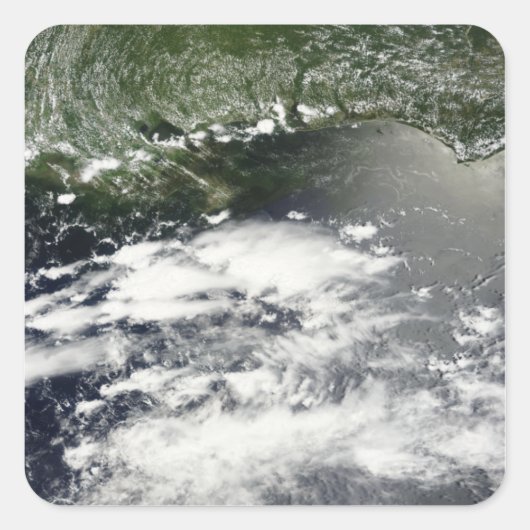 衛星放送による油漏れ2 スクエアシール (正面)