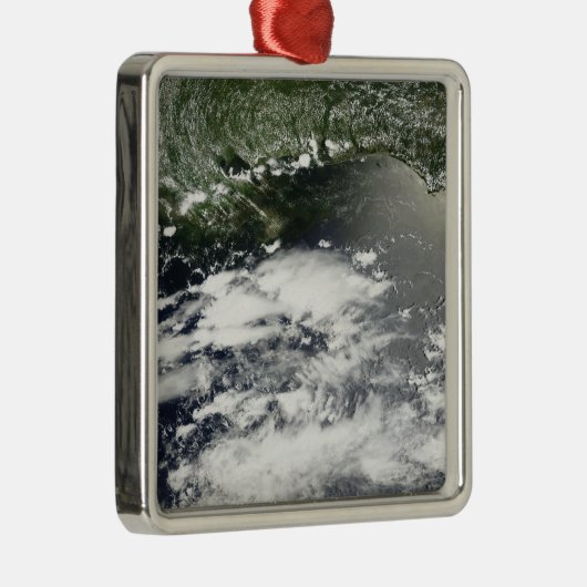 衛星放送による油漏れ2 メタルオーナメント (右)