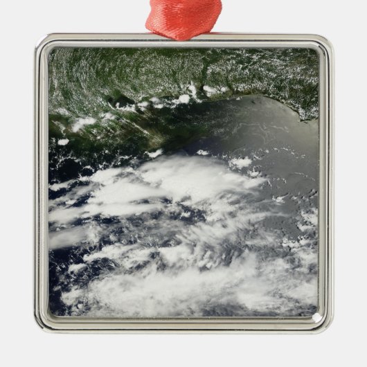 衛星放送による油漏れ2 メタルオーナメント (正面)