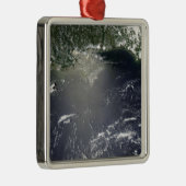 衛星放送による油漏れ メタルオーナメント (右)