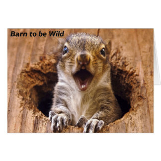 衝撃を与えられたリス