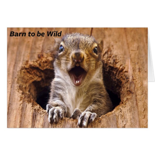 衝撃を与えられたリス (正面横)