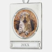 衝撃を与えられたリス シルバープレートバナーオーナメント (左)