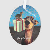 衝撃を受けたドーバーマンクリスマス オーナメント (正面)