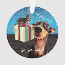 衝撃を受けたドーバーマンクリスマス