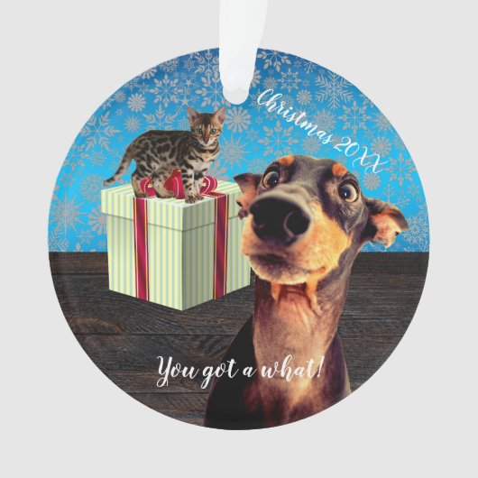 衝撃を受けたドーバーマンクリスマス オーナメント (正面)