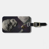 衝撃前のダーツ宇宙船とリュシカベ ラゲッジタグ (正面横)