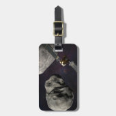 衝撃前のダーツ宇宙船とリュシカベ ラゲッジタグ (正面縦)