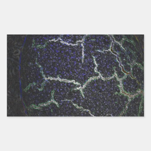 衝突シェル 長方形シール (正面)