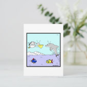 衝突: イルカとペリカンの漫画 ポストカード (スタンド正面)