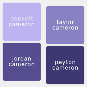 衣料品ラベルの紫色のアイロンの名前 ラベル