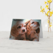 衣装は不要だ。 カード (黄色い花)