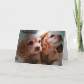 衣装は不要だ。 カード (正面)