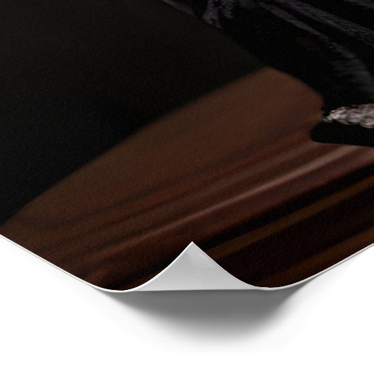 衣装を着たパピビクトリアンロンポートレート ポスター (角)