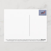 衣装を着た少女たち ポストカード (裏面)