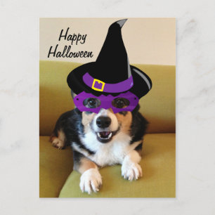 衣装を着た面白いハロウィーンコーギ ポストカード