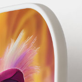 衣装を着鮮やかたビーグル ピックルボールラケット (左詳細)