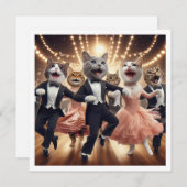 衣装パーティー、社交ダンスダンスパーティー、猫 招待状 (正面/裏面)
