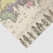 衣類のスタイルの世界地図 薄葉紙 (詳細)