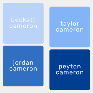 衣類の青いアイロンの名前 ラベル